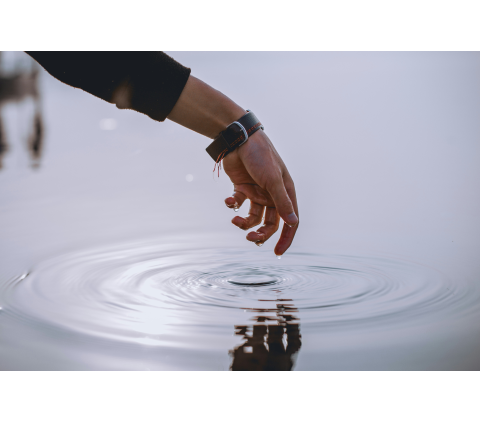 L'eau et les nitrates